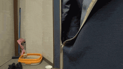 kitteh sez teh paeg wuz not findz